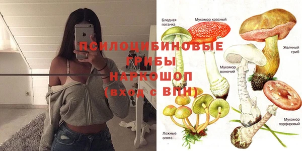мяу мяу кристалл Медвежьегорск