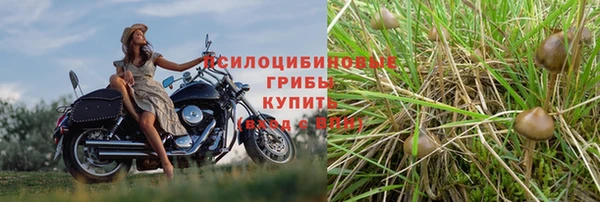 Альфа ПВП Майский
