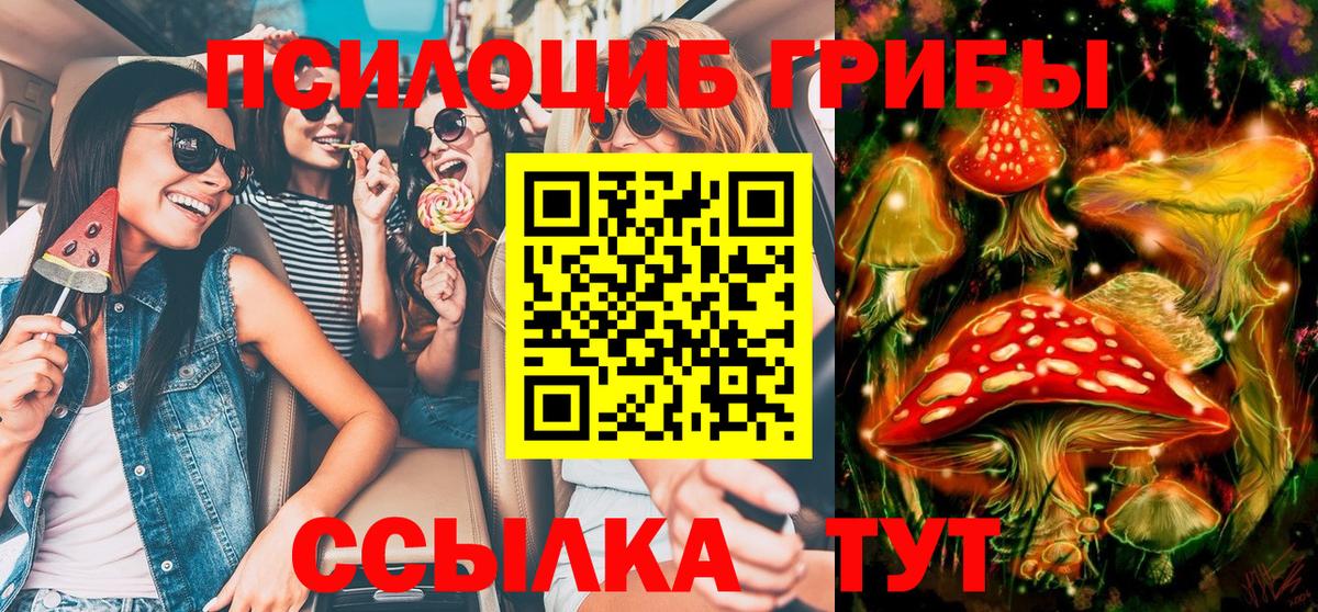 Прокопьевск  Псилоцибиновые грибы Psilocybine cubensis  Псилоцибиновые грибы GOLDEN TEACHER  Вход с VPN 